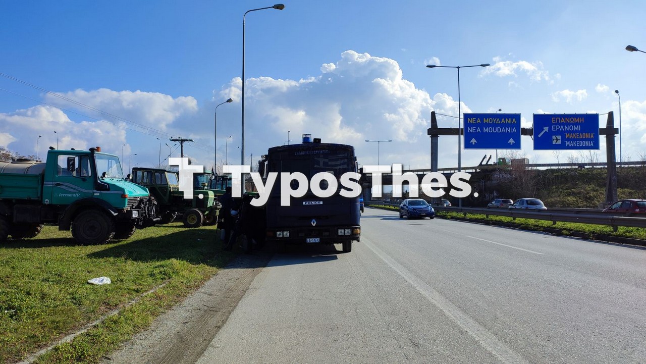 agrotes-3.jpg agrotes-3.jpg