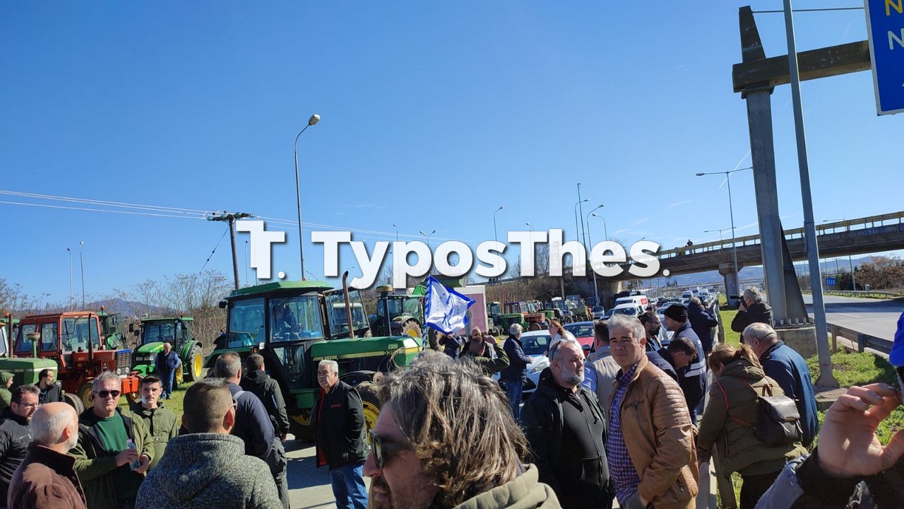 agrotes-4.jpg agrotes-4.jpg