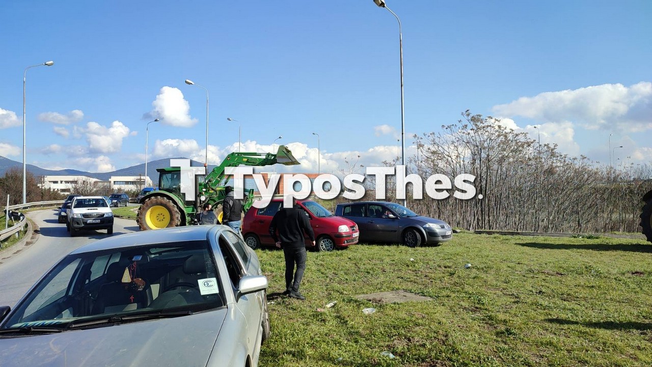 agrotes-5.jpg agrotes-5.jpg