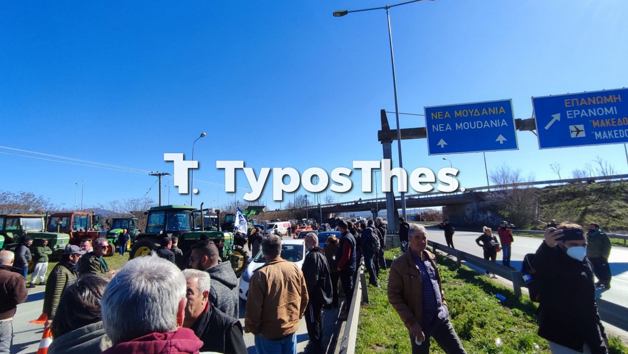 agrotes-5.jpg agrotes-5.jpg