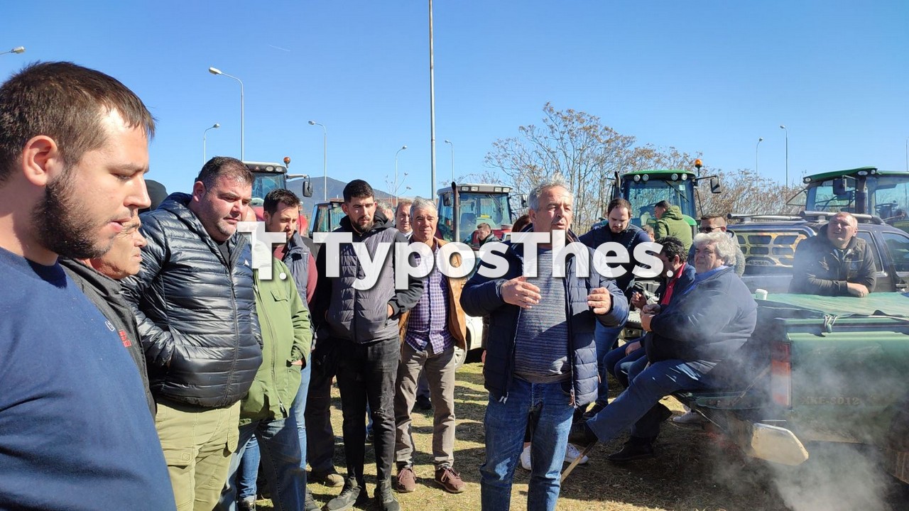 agrotes-6.jpg agrotes-6.jpg