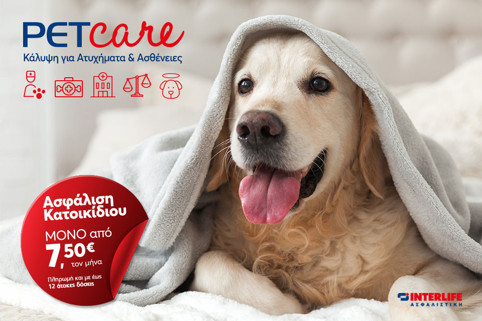 interlife_-petcare.jpg interlife_-petcare.jpg
