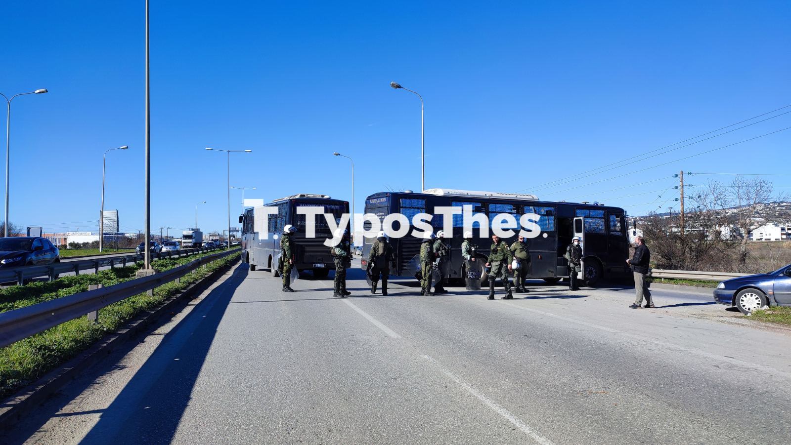 mat-agrotes.jpg mat-agrotes.jpg