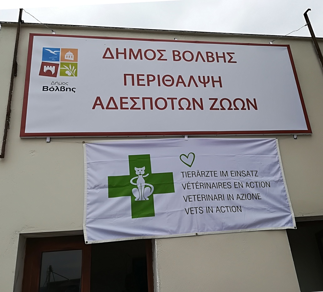 adespota-volvi.jpg adespota-volvi.jpg