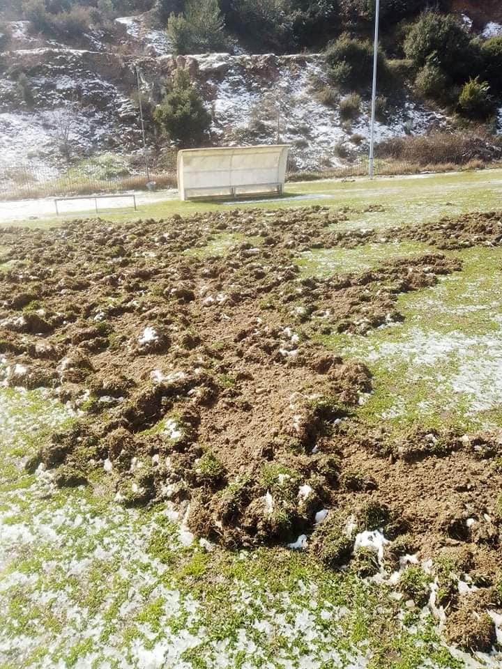 agriogourouna_gipedo_stavros_1.jpeg agriogourouna_gipedo_stavros_1.jpeg