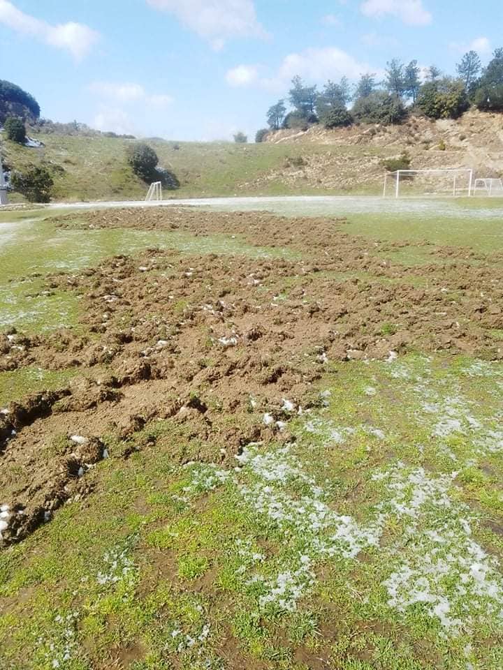agriogourouna_gipedo_stavros_2.jpeg agriogourouna_gipedo_stavros_2.jpeg