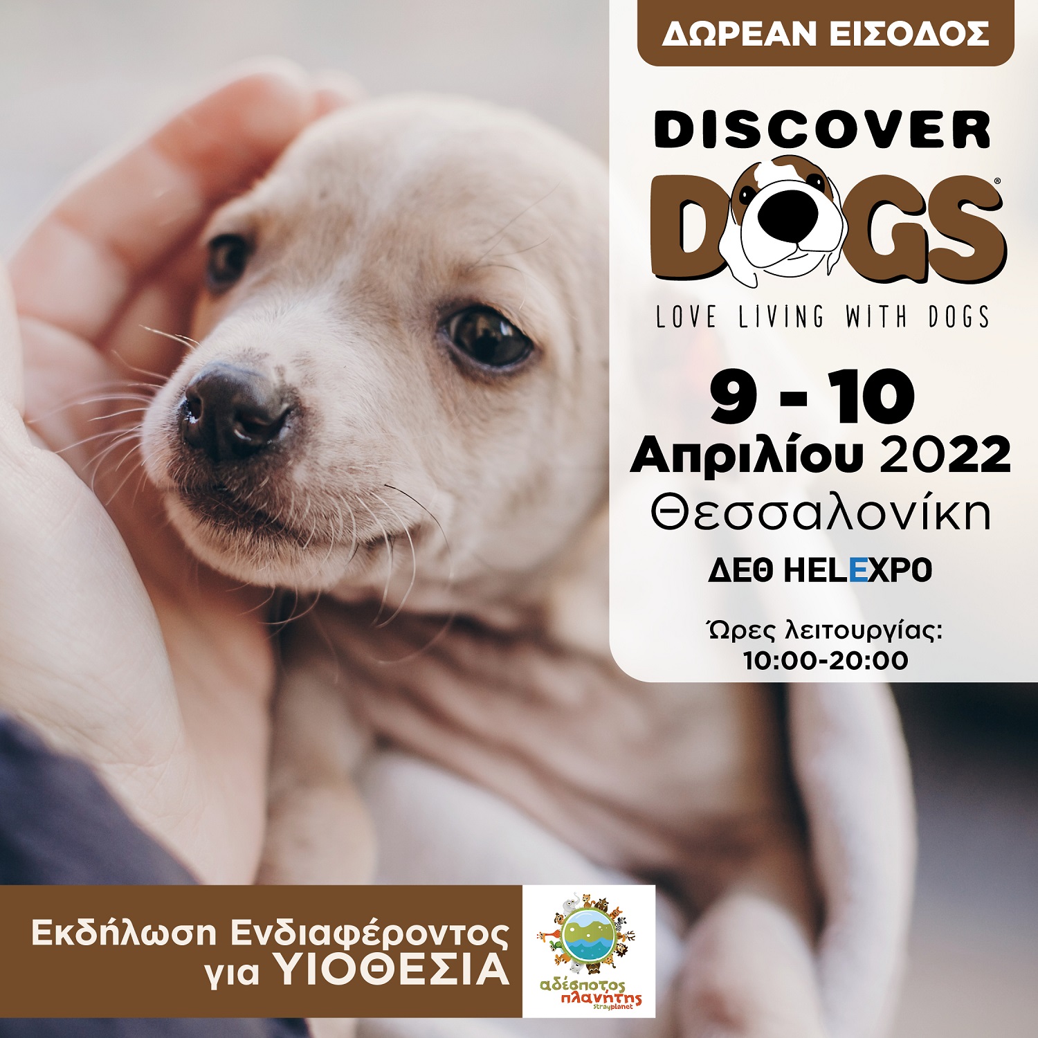 discover-dogs-ekdilosi-endiaferontos-gia-yiothesia.jpg