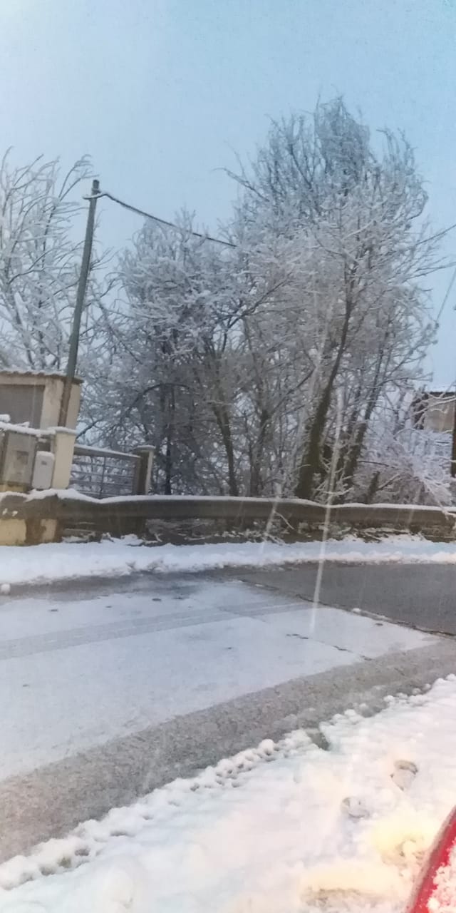 xionia_thessaloniki_7.jpeg xionia_thessaloniki_7.jpeg