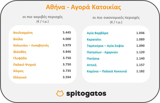 gatos-1.jpg gatos-1.jpg