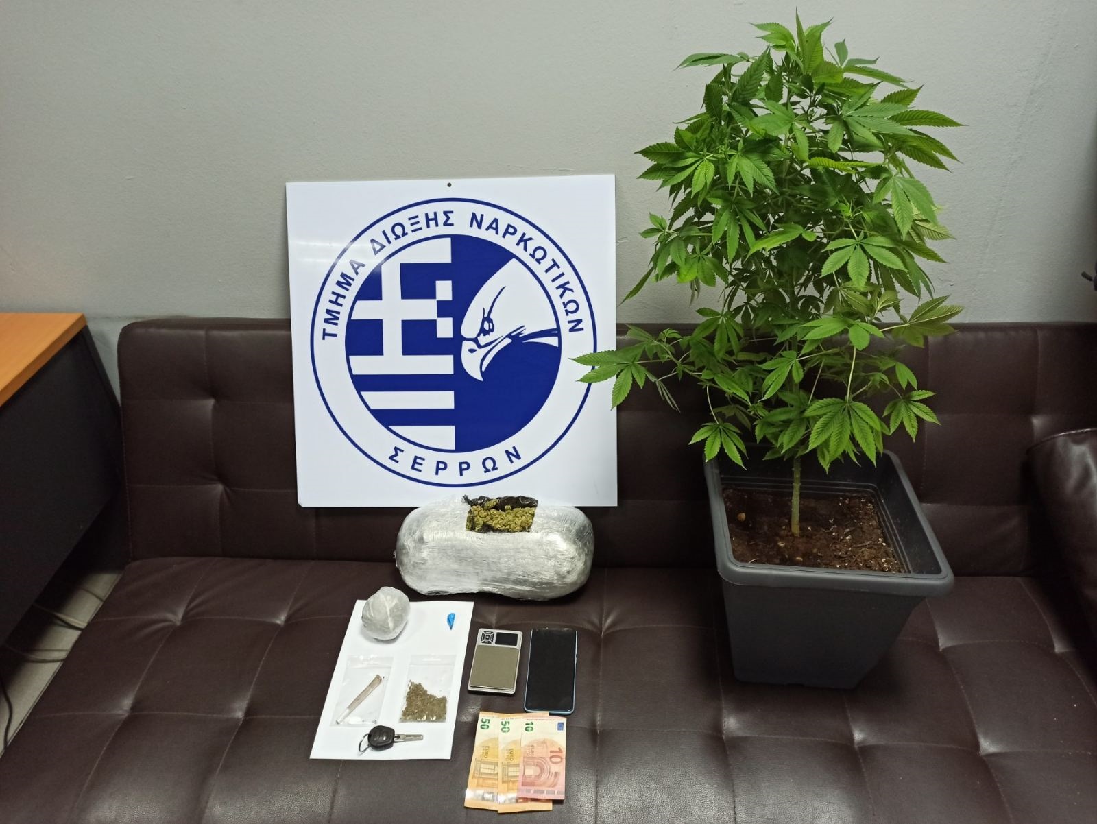 kannabi_serres_1.jpg kannabi_serres_1.jpg