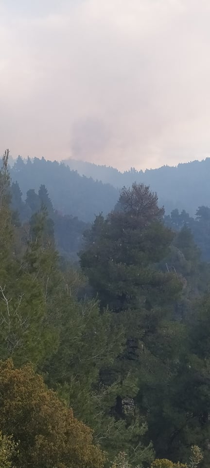 pyrkagia_xalkidiki_5.jpeg pyrkagia_xalkidiki_5.jpeg