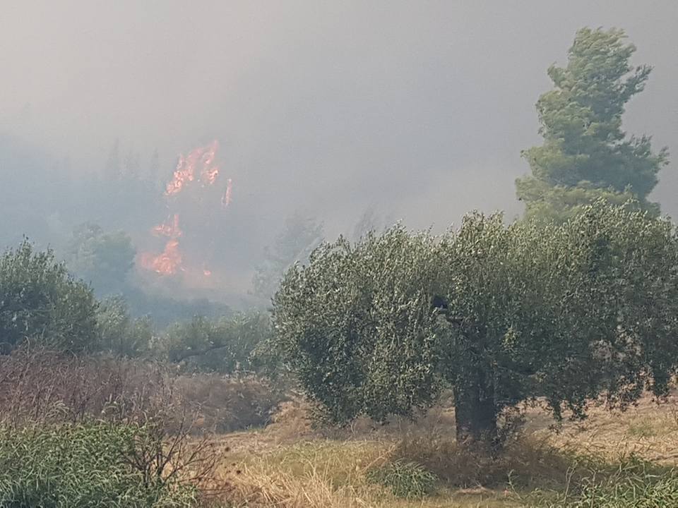pyrkagia_xalkidiki_7.jpeg pyrkagia_xalkidiki_7.jpeg