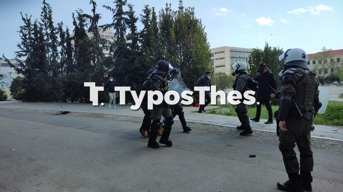steki-biologiko-23.jpg steki-biologiko-23.jpg