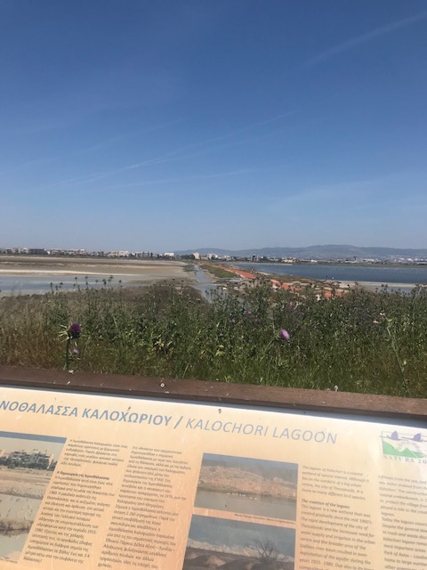 kokkinos_dromos_2.jpeg kokkinos_dromos_2.jpeg