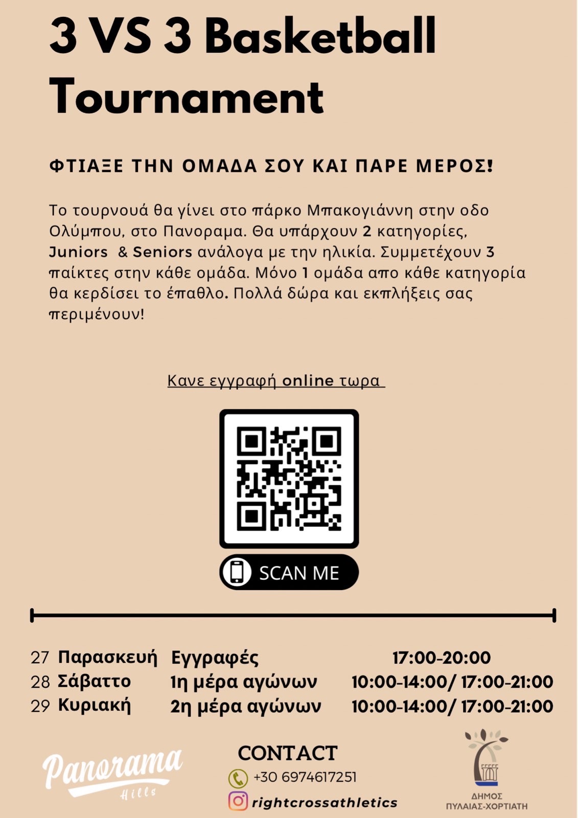 pylaia_basket_2.jpeg pylaia_basket_2.jpeg