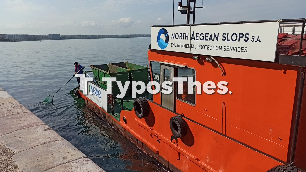 katharismos-thermaikos-alkippi_10.jpg katharismos-thermaikos-alkippi_10.jpg