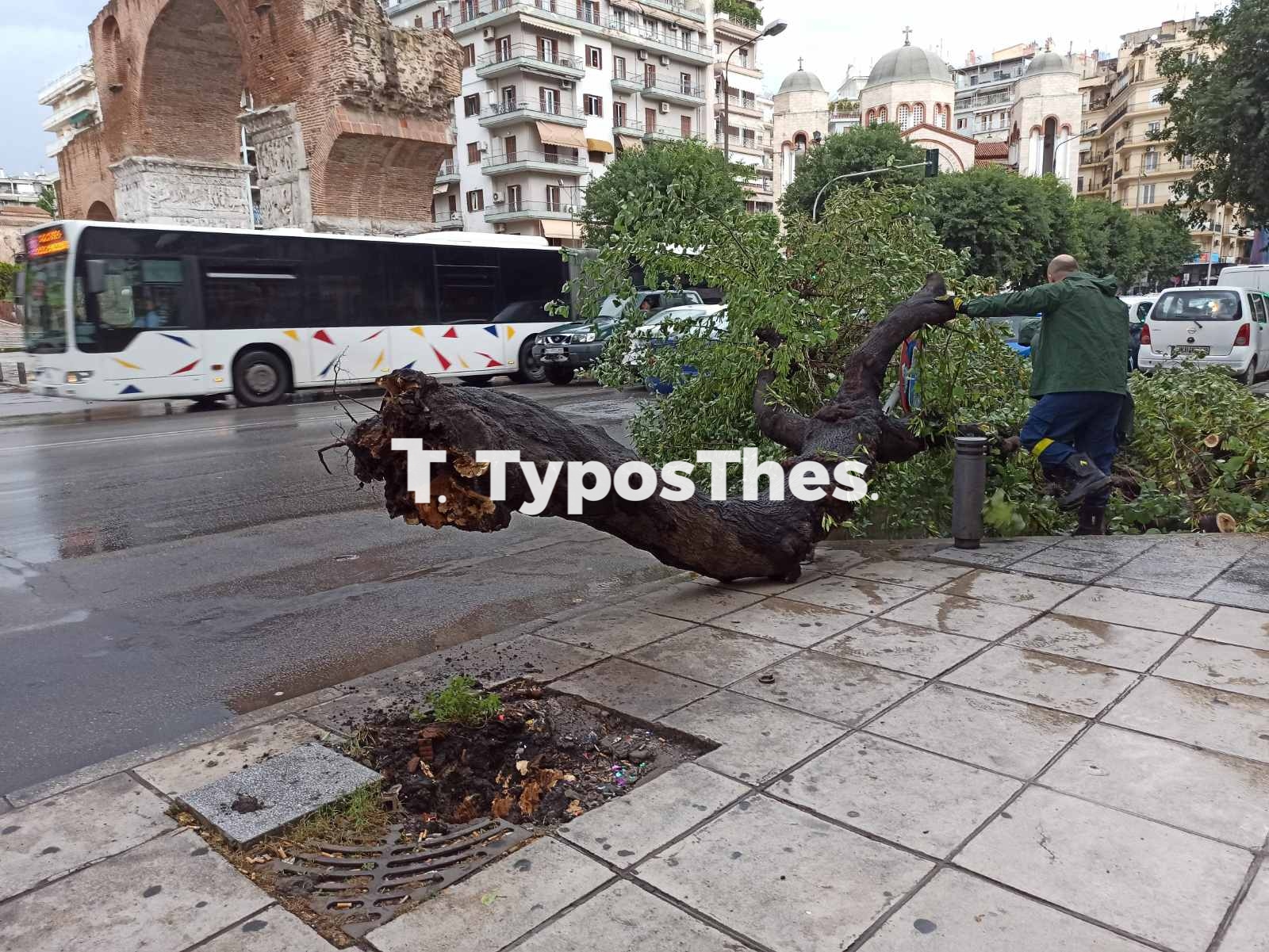 ptwsidentrou-kamara.jpg ptwsidentrou-kamara.jpg