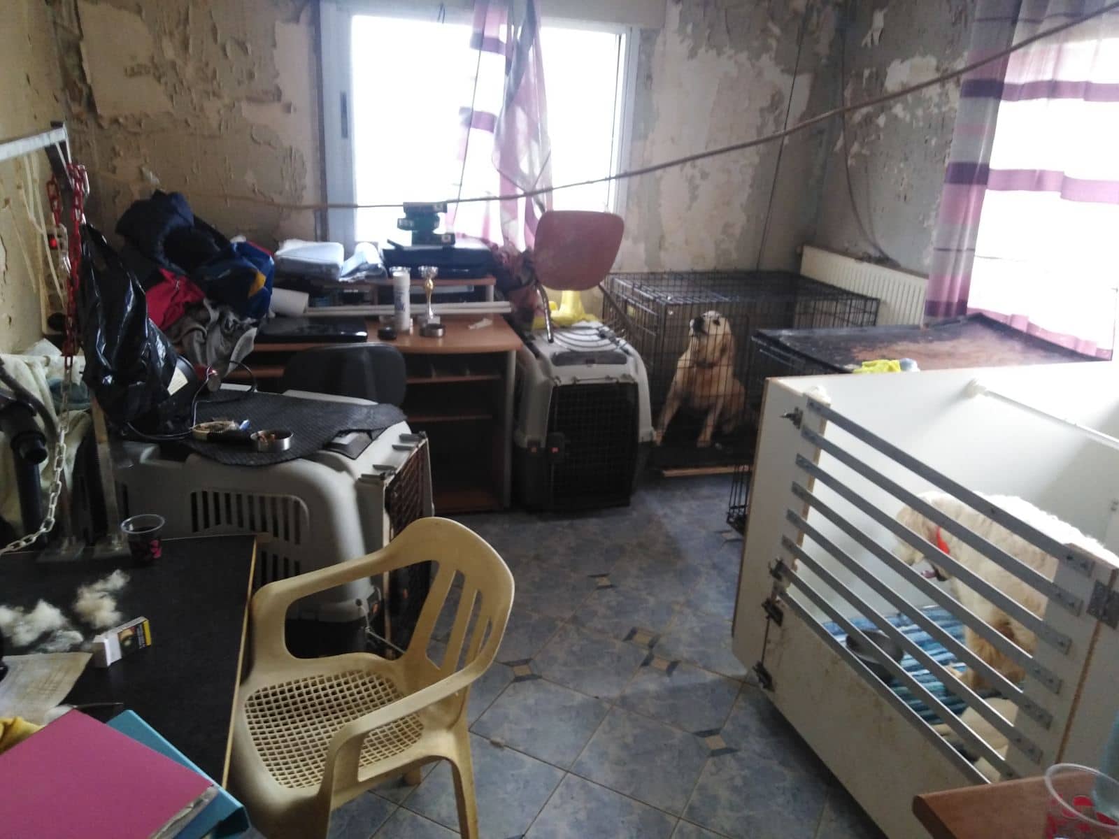skylia_spiti_5.jpeg skylia_spiti_5.jpeg