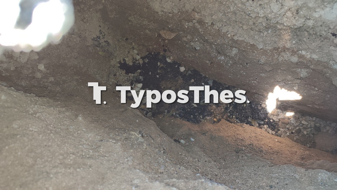 trypa-5.jpg trypa-5.jpg