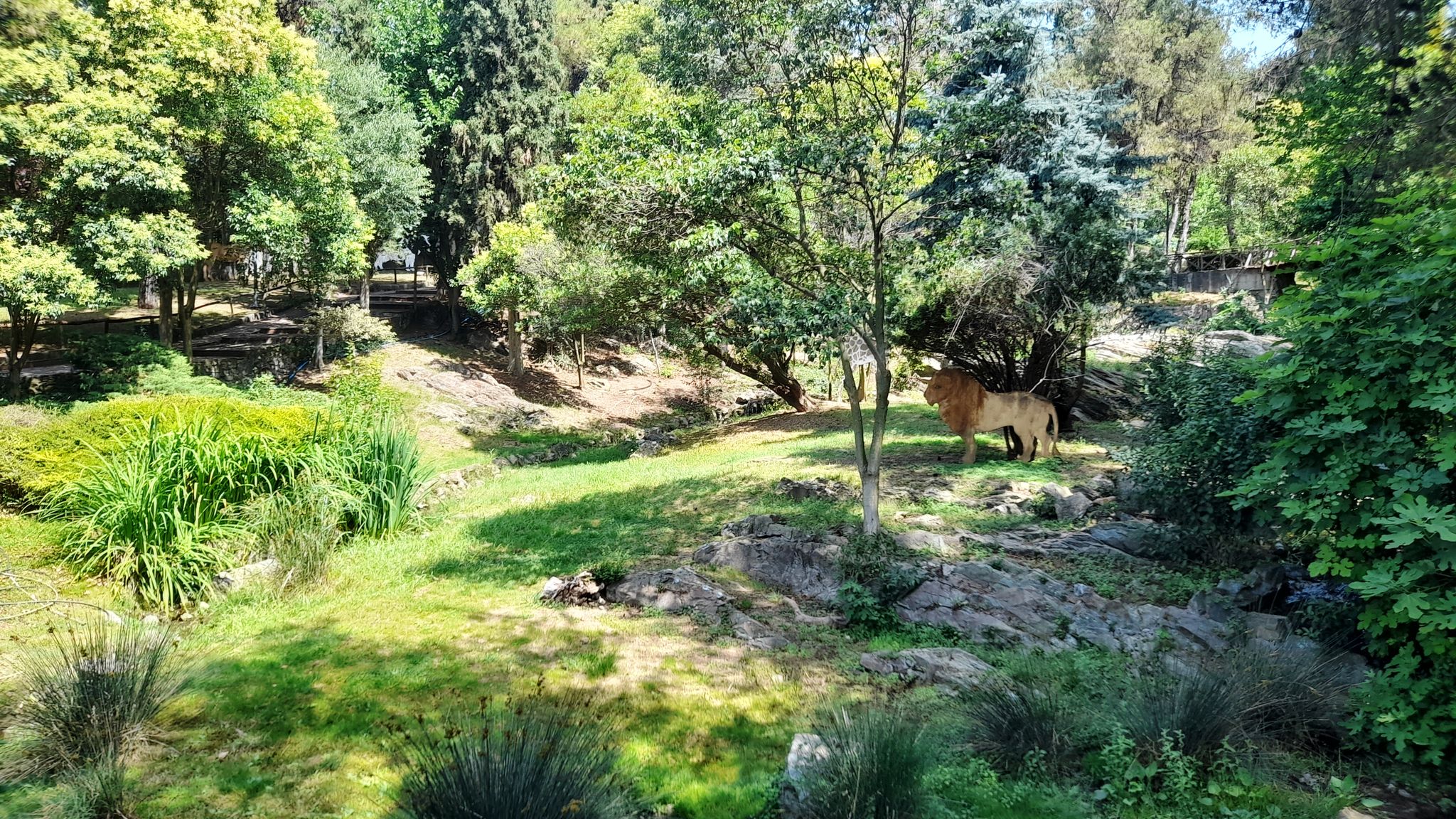 zoo-thess.jpg zoo-thess.jpg