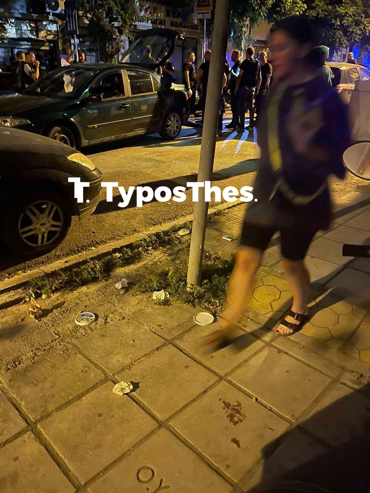 allodapoi2.jpg allodapoi2.jpg