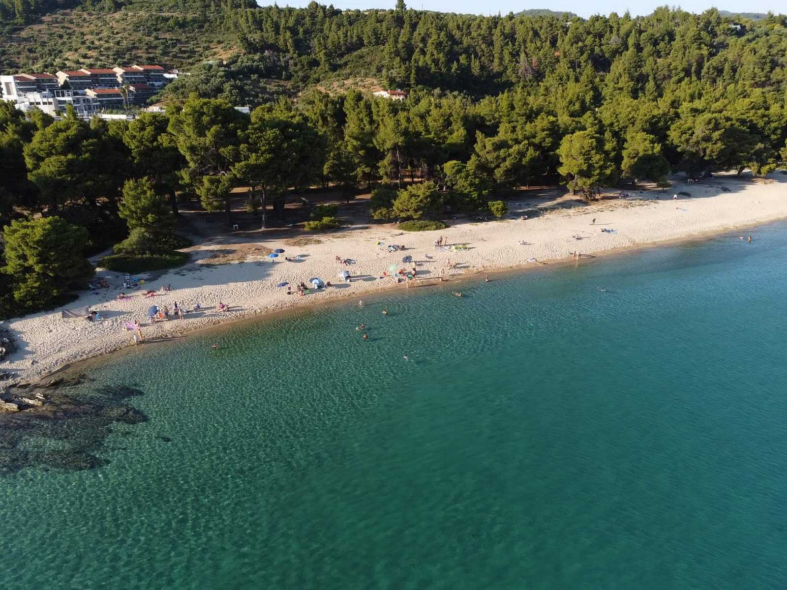 lagomandra-xalkidiki2.jpg