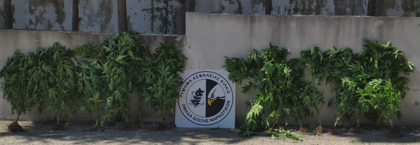 narkotika_serres_2.jpg narkotika_serres_2.jpg