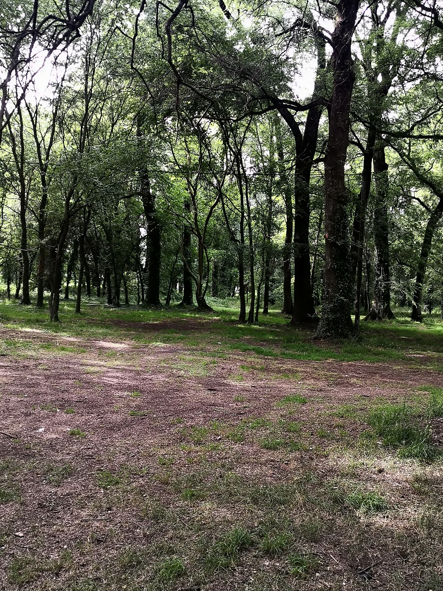photo3.jpg photo3.jpg