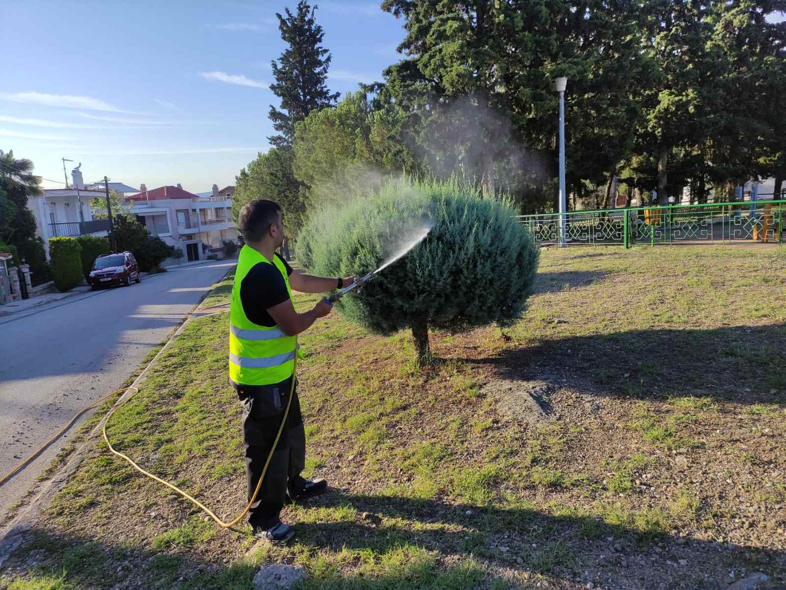 psekasmi_kounoupia_oraiokastro_2.jpeg psekasmi_kounoupia_oraiokastro_2.jpeg