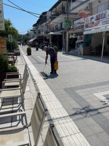 psekasmoi_kounoupia_bolbi_5.jpeg psekasmoi_kounoupia_bolbi_5.jpeg