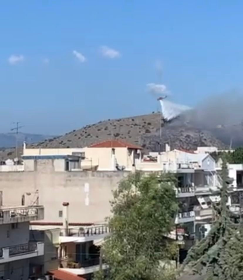 fire-skai-xalkida.jpg fire-skai-xalkida.jpg
