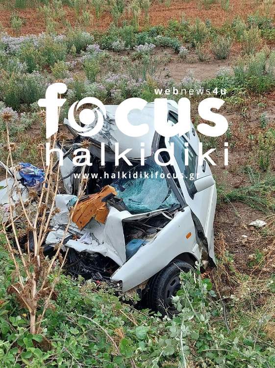 fokoys.jpg fokoys.jpg
