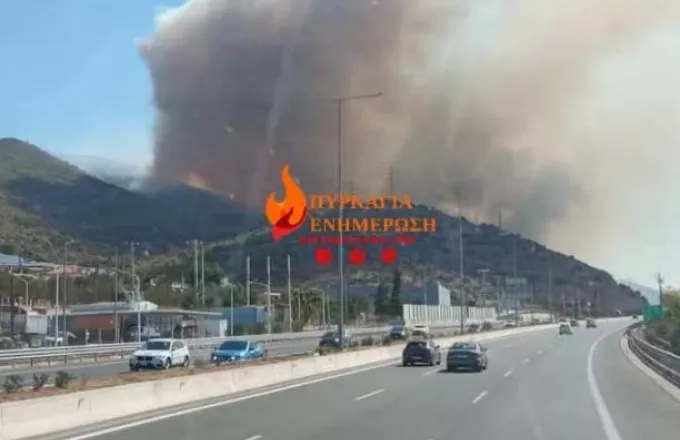 fotia_nea_peramos.jpg fotia_nea_peramos.jpg