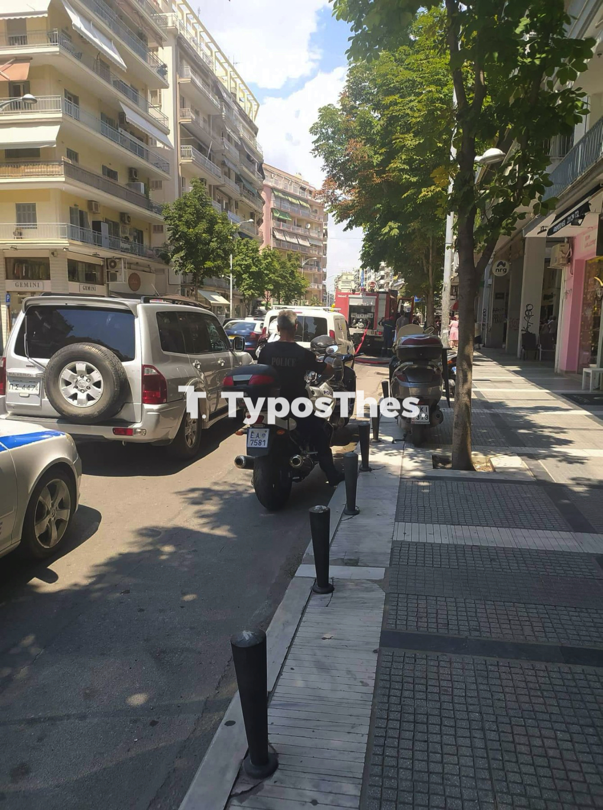 fotia_olgas_2.jpg fotia_olgas_2.jpg