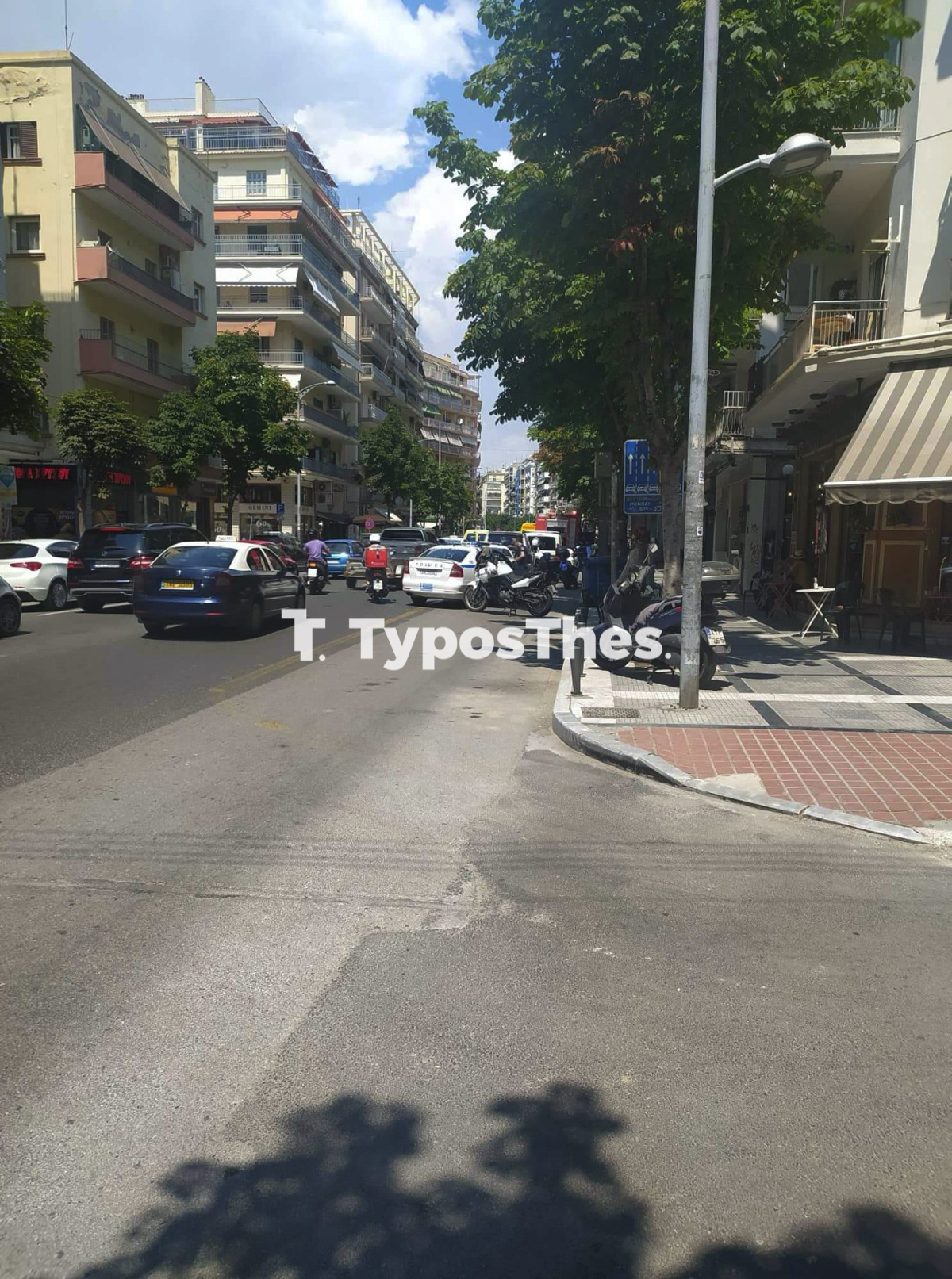 fotia_olgas_3.jpg fotia_olgas_3.jpg