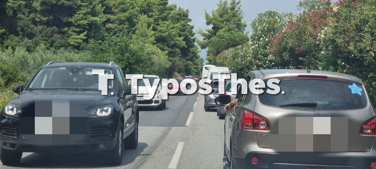 kinisi-xalkidiki_3.jpg kinisi-xalkidiki_3.jpg