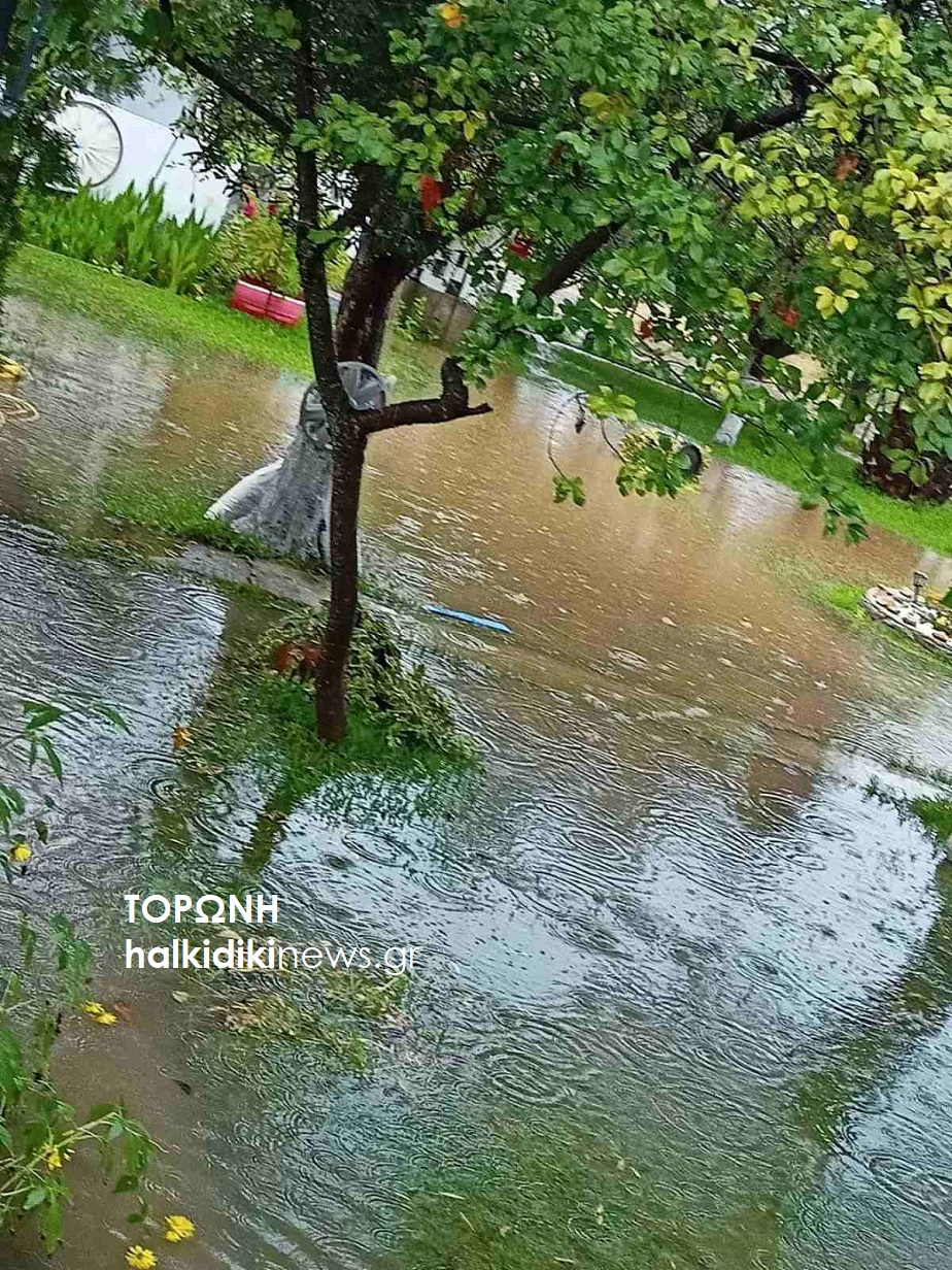 xalkidiki_kataigida_5.jpeg xalkidiki_kataigida_5.jpeg