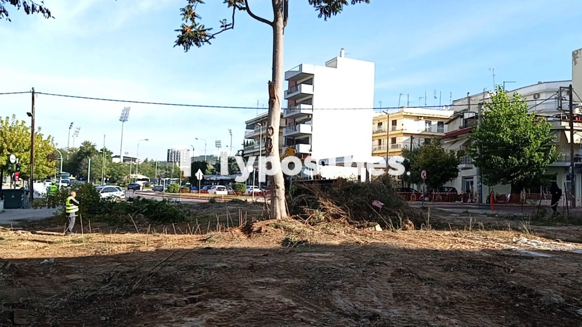 agiou_dimitriou_erga_6.jpg agiou_dimitriou_erga_6.jpg
