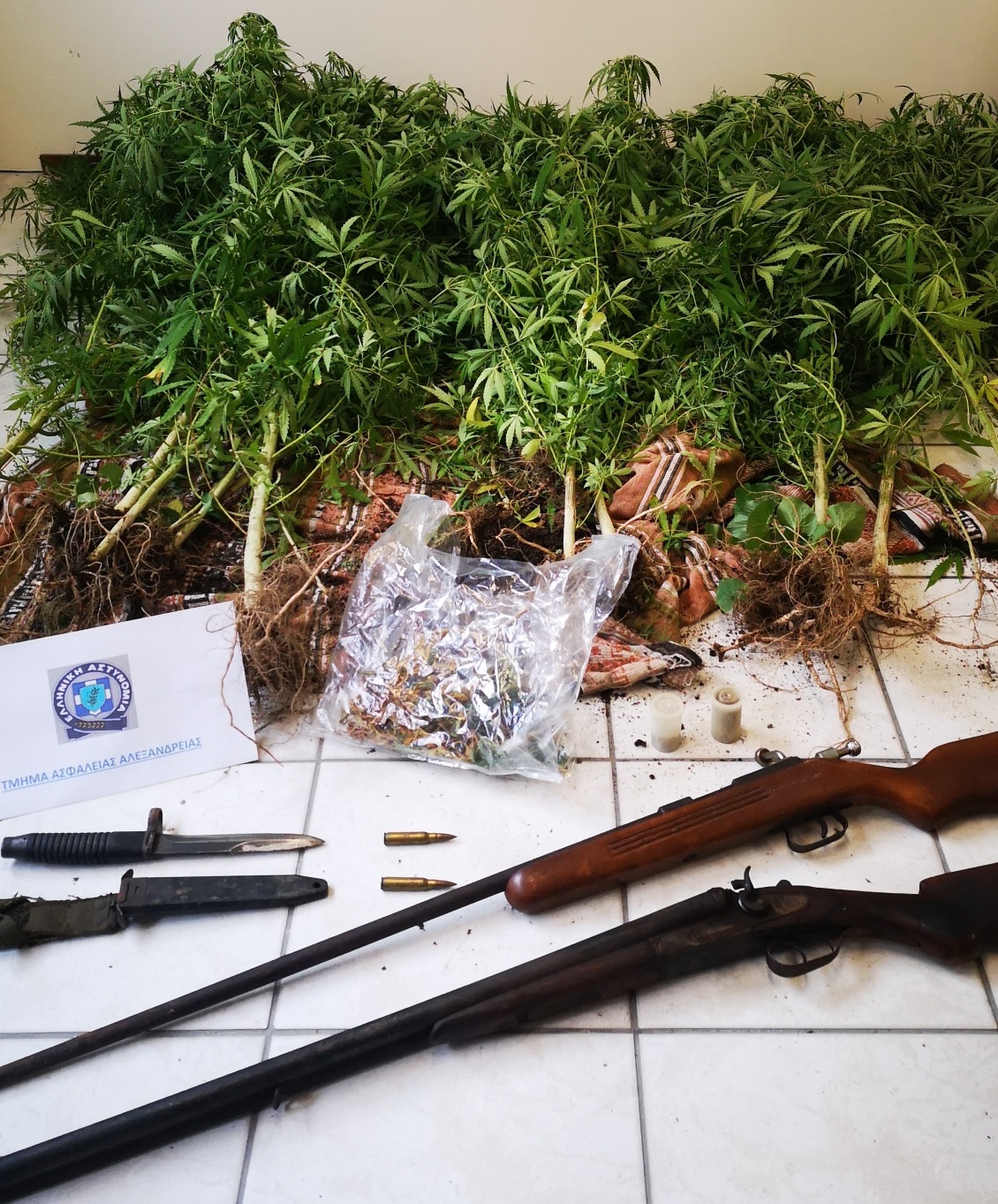 dendryllia_kannabis_2_apo_2.jpg dendryllia_kannabis_2_apo_2.jpg