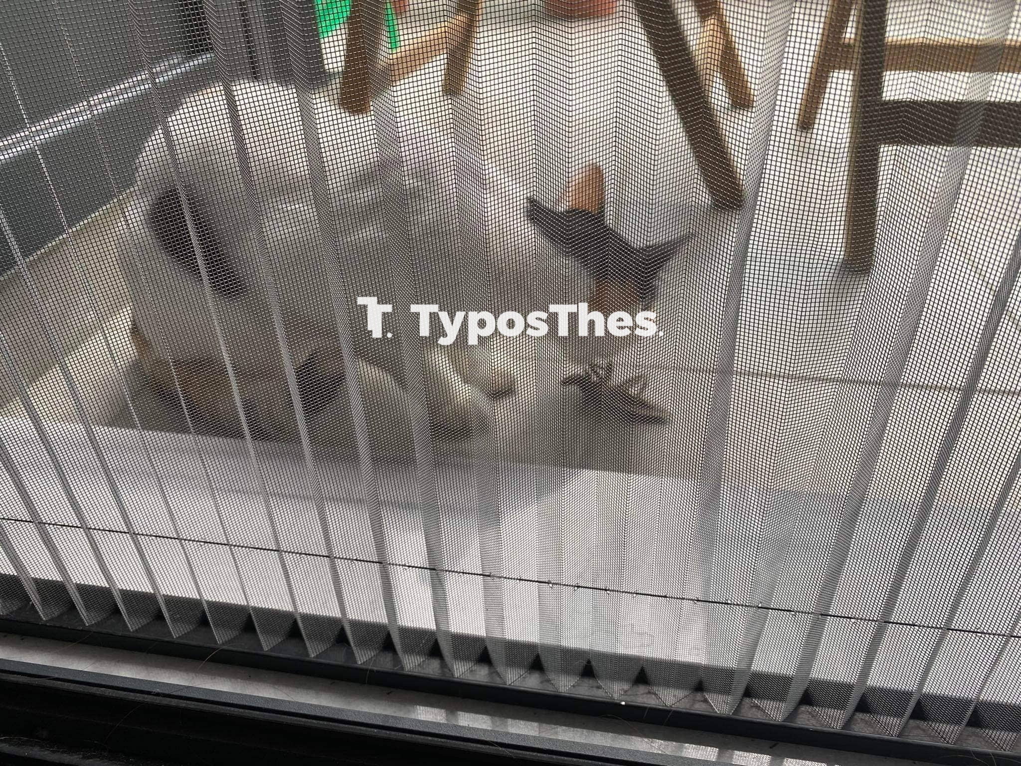 lithokeros1.jpg lithokeros1.jpg