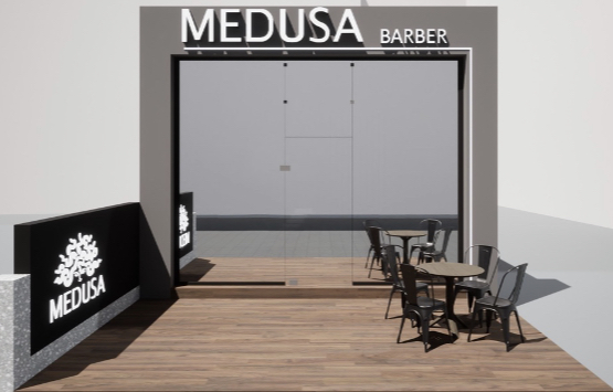 medusa.jpeg