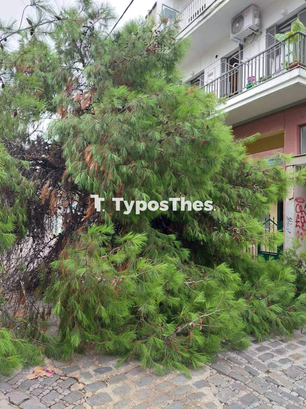 ptosi_dentro_2.jpg ptosi_dentro_2.jpg