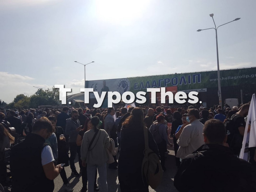 agrotes-1.jpg agrotes-1.jpg