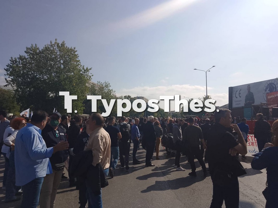 agrotes-2.jpg agrotes-2.jpg
