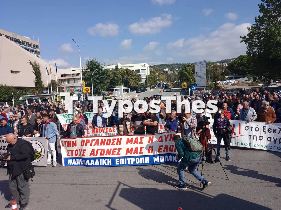 agrotes-3.jpg agrotes-3.jpg