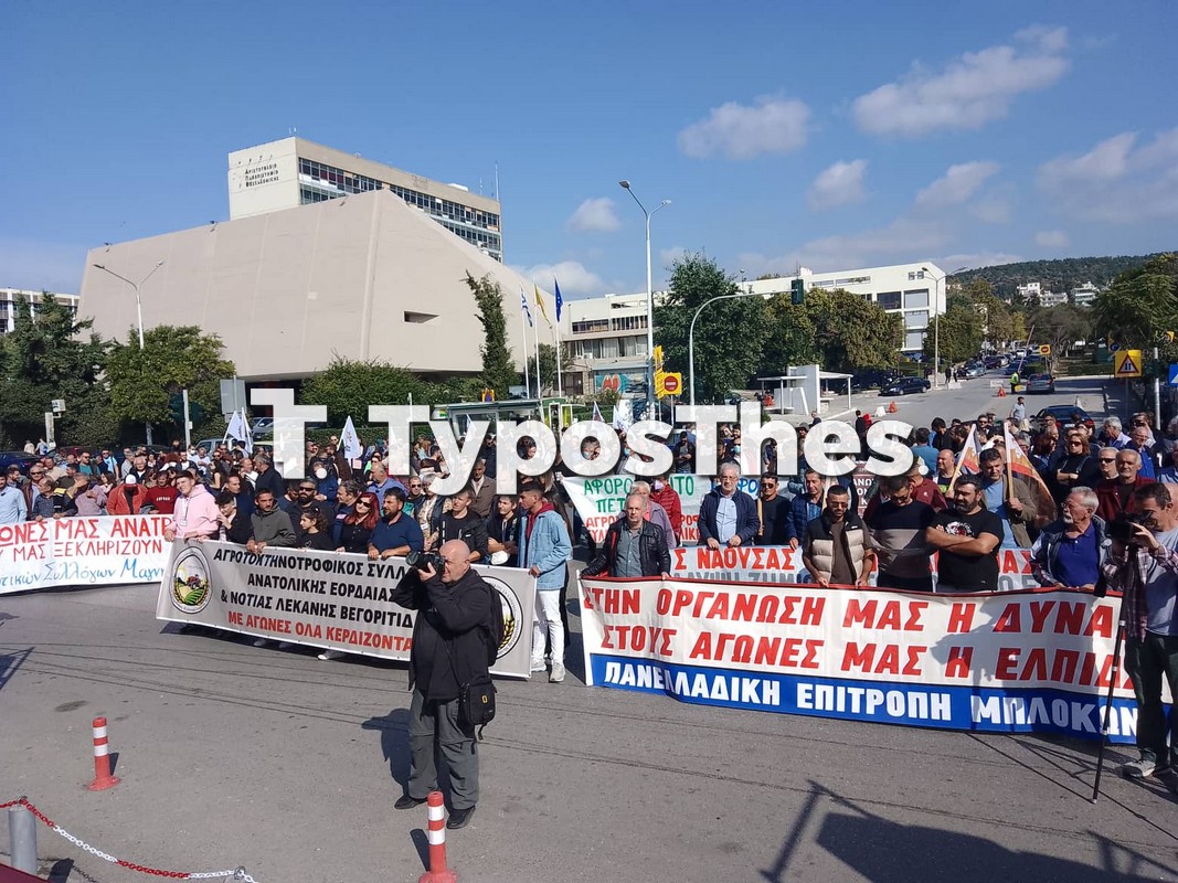 agrotes-4.jpg agrotes-4.jpg