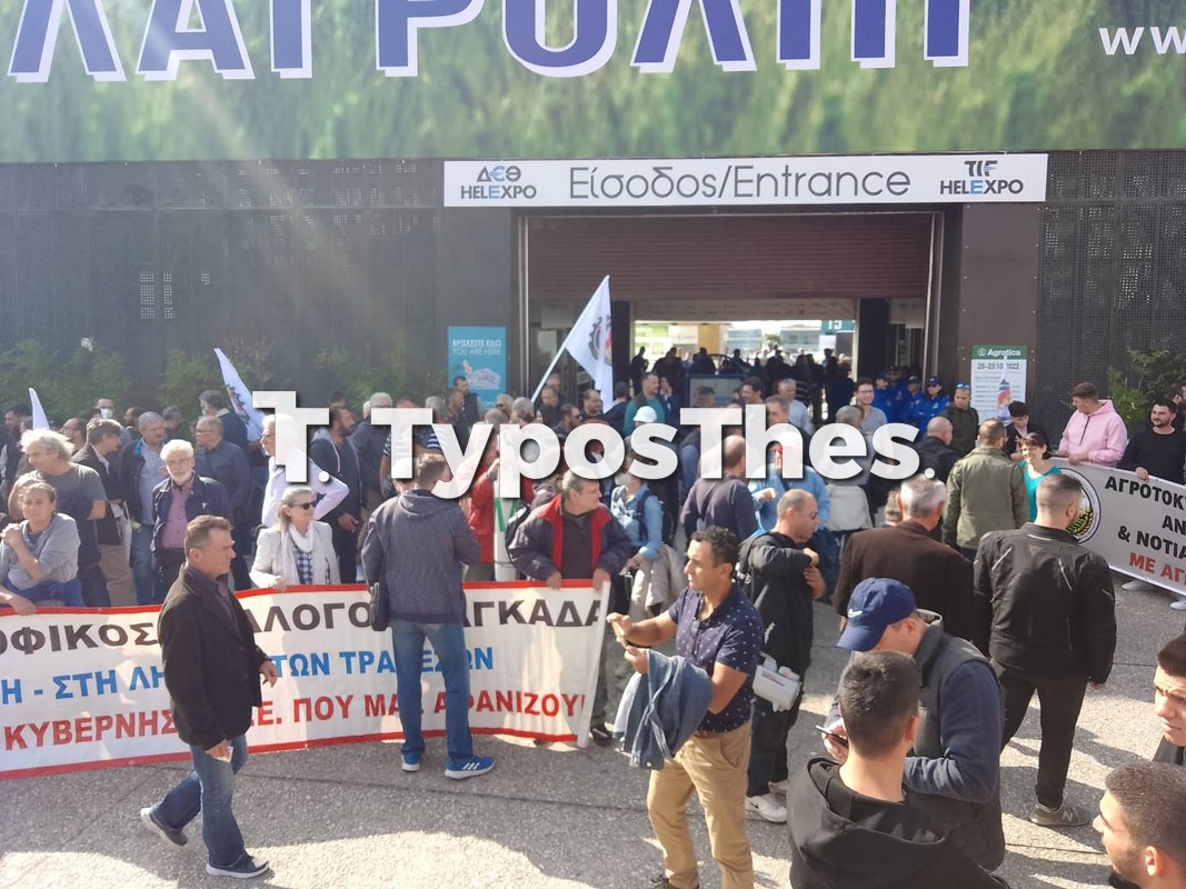 agrotes-6.jpg agrotes-6.jpg