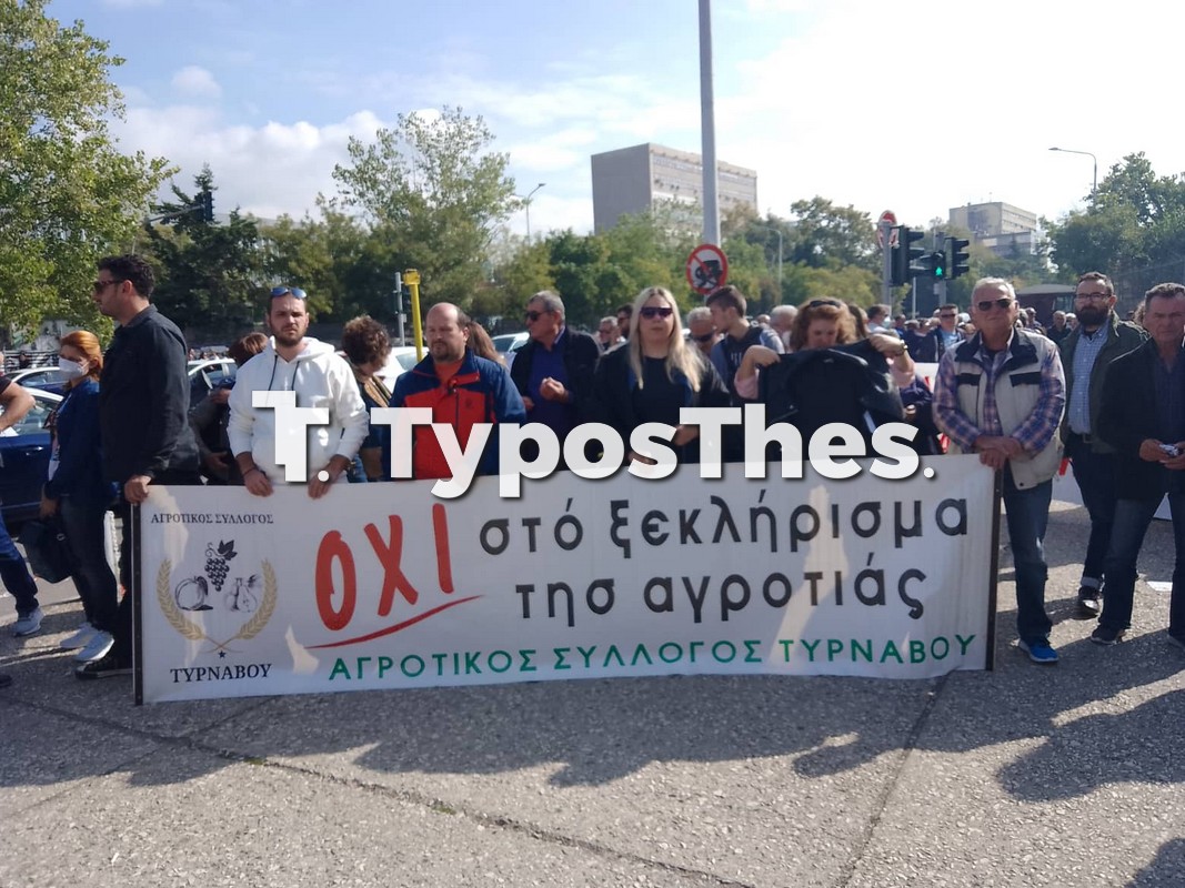 agrotes-7.jpg agrotes-7.jpg