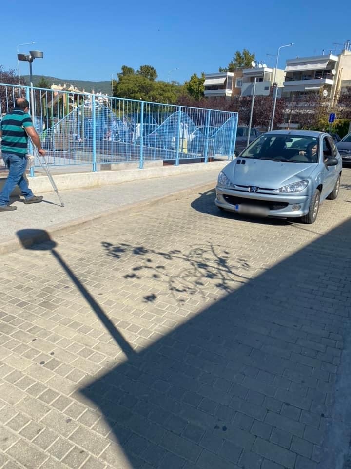 elaiorama-parkarismena.jpg elaiorama-parkarismena.jpg