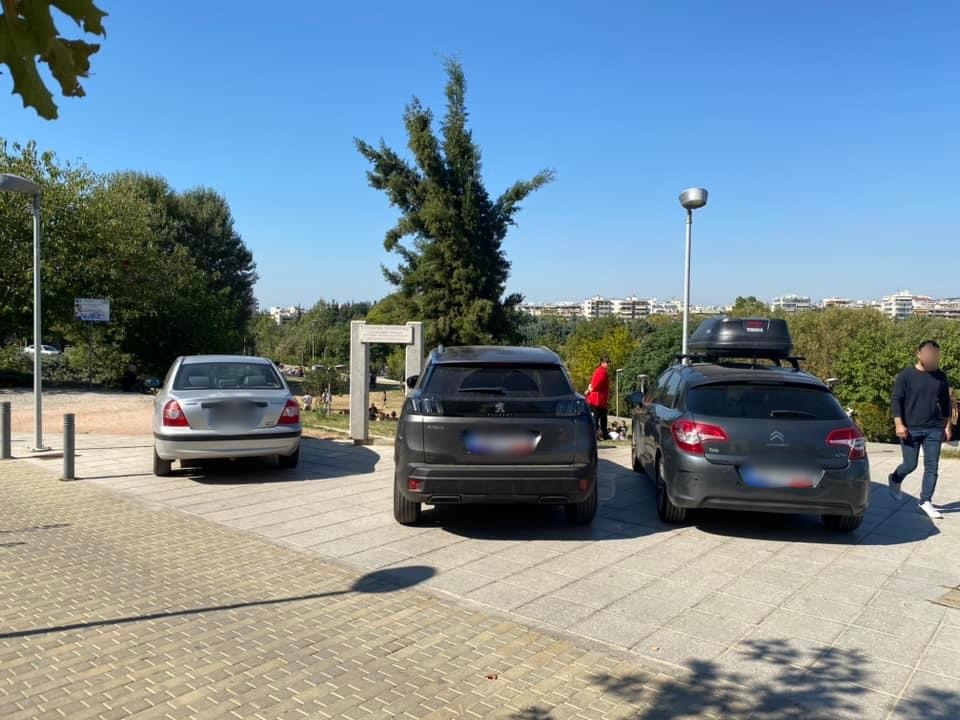 elaiorama-parkarismena_16.jpg elaiorama-parkarismena_16.jpg